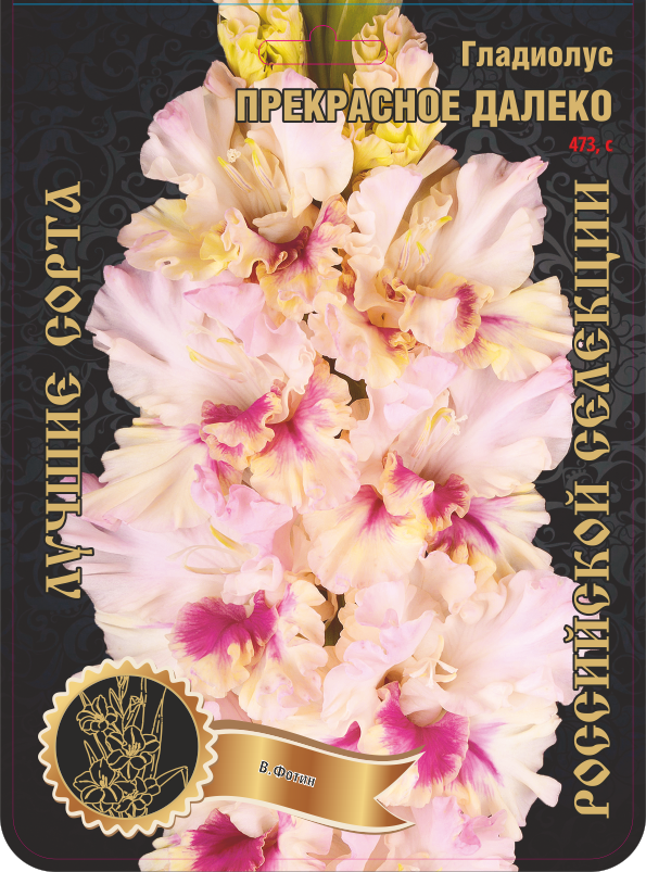 Гладиолус Прекрасное Далеко 473,Фотин 1 р-р 1шт (Ф)