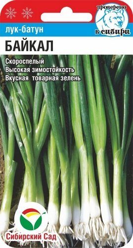 Лук Батун Байкал 0,5г (Сиб Сад)