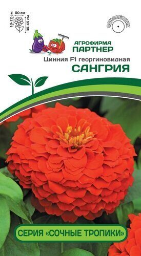 Цинния Сангрия F1 Сочные тропики георгоновидная 4шт (Партнер)