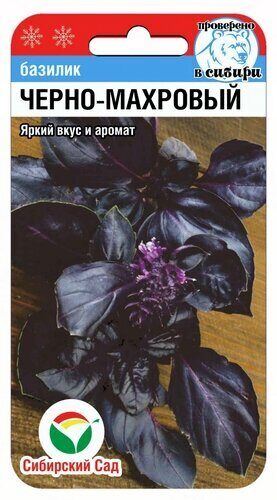 Базилик Черно махровый 0,5г (Сиб Сад)