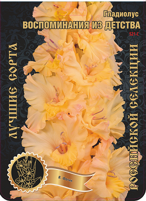 Гладиолус Воспоминания из Детства 521,Фотин 2 р-р 1шт (Ф)