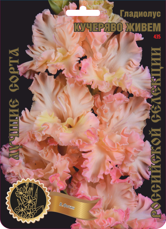 Гладиолус Кучеряво Живем 435,Фотин 1 р-р 1шт (Ф)