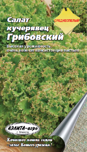 Салат Кучерявец Грибовский полукачанный 0,5г (Аэлита)