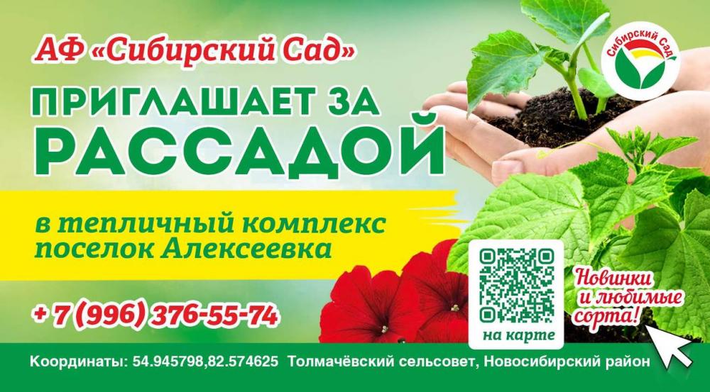 Приглашаем за рассадой