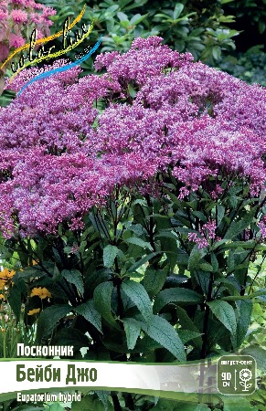 Посконник Бейби Джо 1шт (Колорлайн)