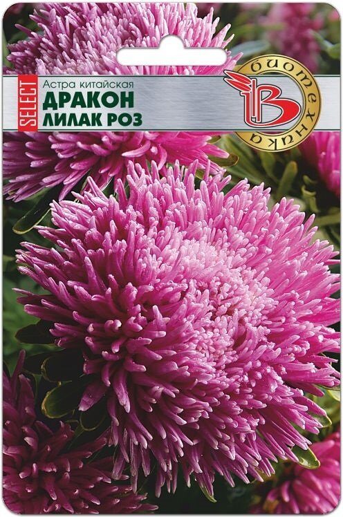 Астра ДРАКОН Селект Лилак Роз однолетник 30шт (Биотехника)