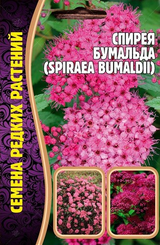 Спирея Бумальда 0,01г (Ред.сем)
