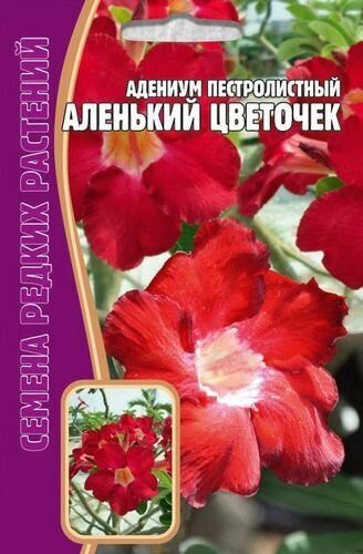 Адениум Аленький Цветочек пестролистный 3шт (Ред.Сем)