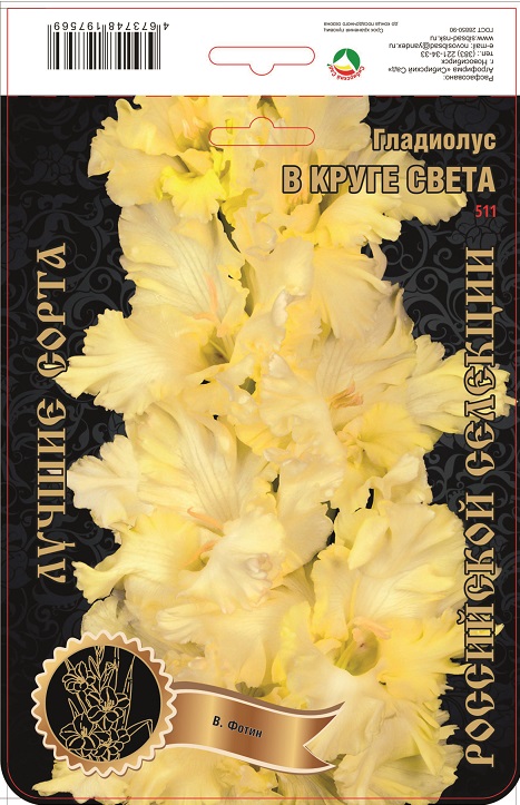 Гладиолус В Круге Света 511,Фотин Экстра 1шт (Ф)
