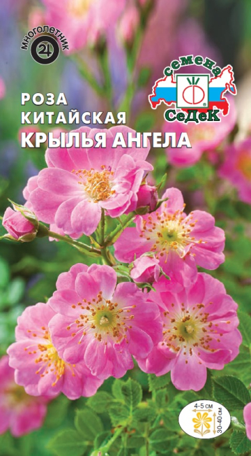 Роза китайская Крылья Ангела многолетник 0,1г (Седек)