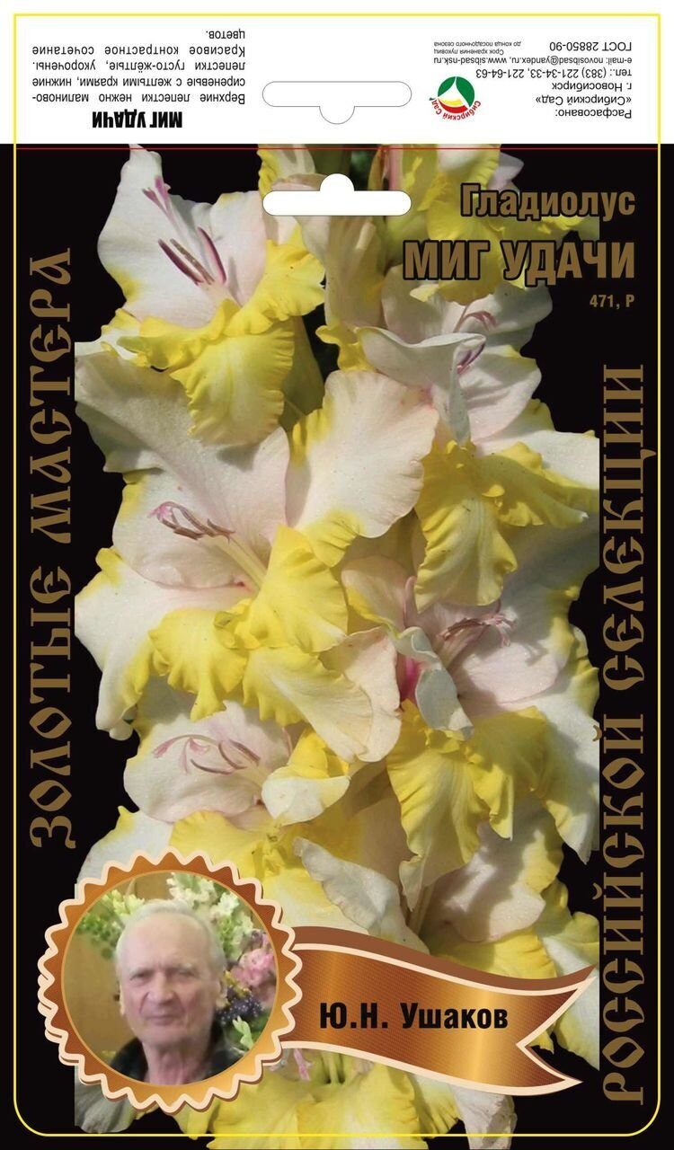 Гладиолус Миг Удачи 471,Ушаков 1 р-р 1шт (Ф)