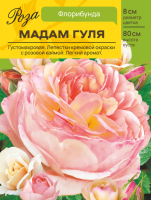 Роза Мадам Гуля (Флорибунда) С ЦВ.НАКЛЕЙКОЙ 1шт (Сиб сад)