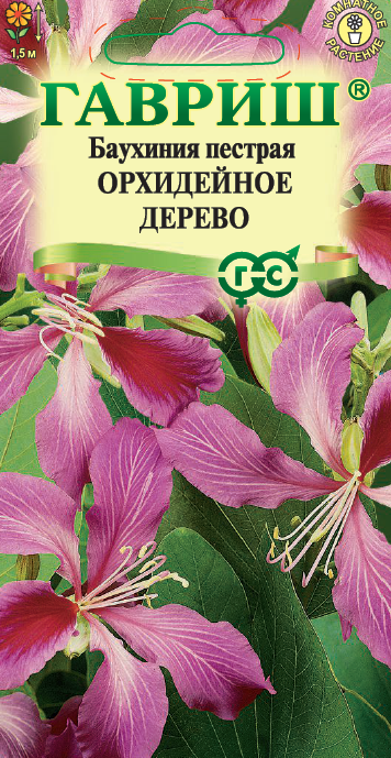 Баухиния Орхидейное дерево пестрая 3шт (Гавриш)