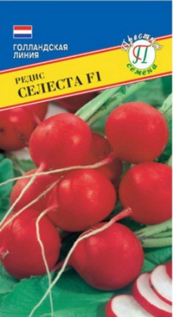 Редис Селеста F1 1г (Престиж)