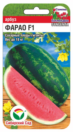 Арбуз Фарао 4шт (Сиб Сад)
