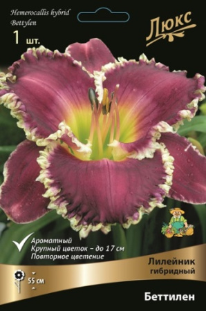 Лилейник Беттилен 1шт (Поиск)
