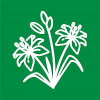 Лилейники