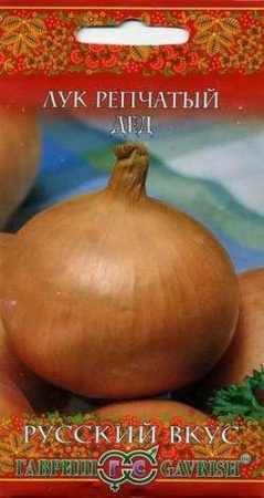 Лук репчатый Дед Русский вкус 1г (Гавриш)