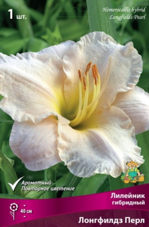 Лилейник Лонгфилдз Перл 1шт (Поиск)