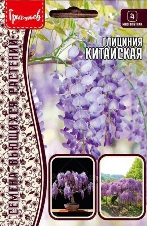 Глициния Китайская 3шт (Ред.Сем)