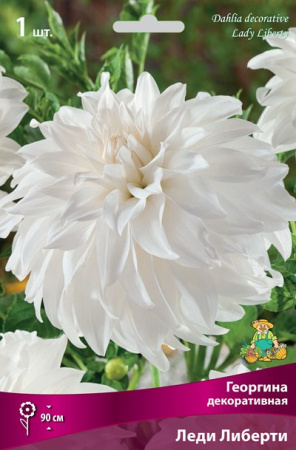 Георгина Леди Либерти 1шт (Поиск)