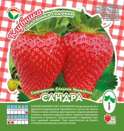 Клубника Сандра А 10шт/пучок (Сиб сад)