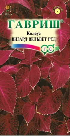 Колеус Визард Вельвет ред (Гавриш)