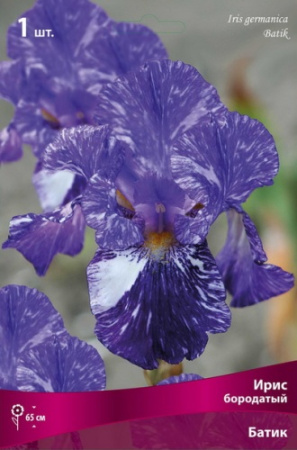 Ирис Батик (Германский) 1шт (Поиск)