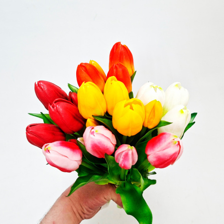Цветы Букет тюльпанов 5шт микс SBPKICT (Сиб Сад)