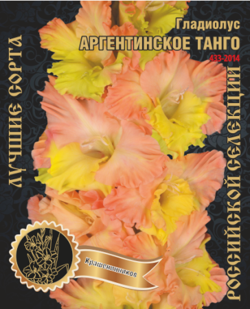 Гладиолус Аргентинское Танго 435,Каршенинников Экстра 1шт (Ф)