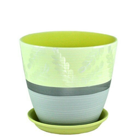 Бутон дижон желтый 2л 15см РС105/2 (СА)