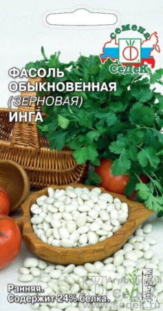 Фасоль Инга зерновая кустовая 5г (Седек)