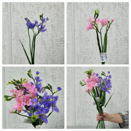 Ветка Фрезии SBPL2025-33 (Сиб Сад)