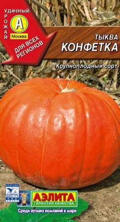 Тыква Конфетка крупноплодная 2г (Аэлита)