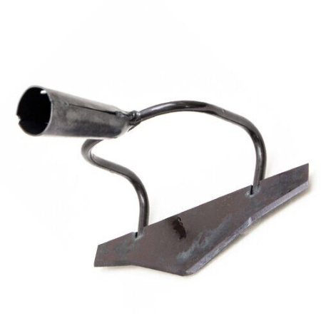 Плоскорез мечта (Азия)