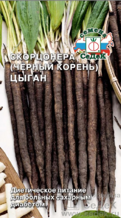 Скорцонера Цыган (Седек)