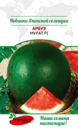 Арбуз Мулат F1 4шт (Премиум)