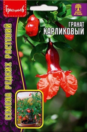 Гранат карликовый 5шт (Ред.Сем)